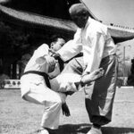 El Tae Kwon Do: Un Viaje de Disciplina, Arte y Espíritu