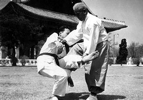 El Tae Kwon Do: Un Viaje de Disciplina, Arte y Espíritu