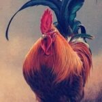 SIETE COSAS QUE APRENDER DEL GALLO