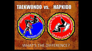 Hapkido vs Taekwondo: Diferencias y similitudes